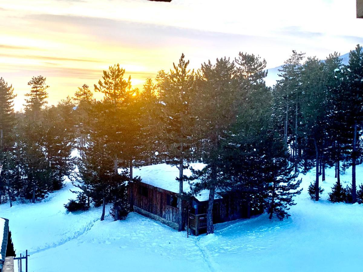 Entire Private Apartment In Pirin Golf & Country Club Bansko Bagian luar foto